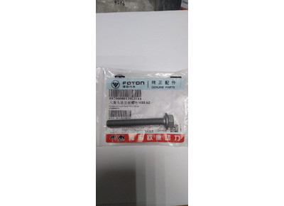 Болт с шестигранной головкой М8х125х62 ГАЗель FOTON 25 S700000119